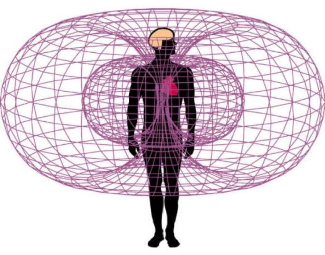 La ciencia explica la inteligencia intuitiva del corazón